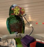 E33385F3-58A3-402A-93A1-A264B23CBE9B.jpeg