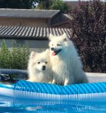 8C85F756-7944-46CF-8508-BC7EB80E04D0.jpeg